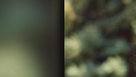 Saoirse Kennedy Hill, sobrina nieta del ex presidente JFK