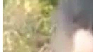 Se desconoce el paradero de los presuntos secuestradores.