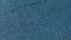 No está claro el origen ni el destino de este reptil