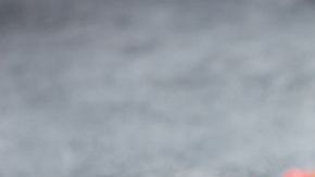 Entre los beneficios más importantes que la fibra aporta, se encuentran una significativa disminución de los niveles de azúcar y colesterol en sangre.