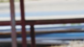 shutterstock_1225143571