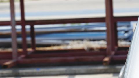 shutterstock_1225143571