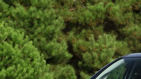 Honda Fit / Foto: Shutterstock