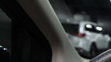 shutterstock_1308102439