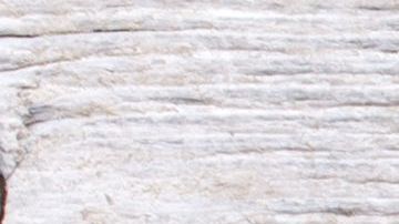 shutterstock_172805831