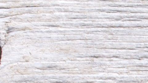 shutterstock_172805831