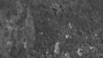 shutterstock_222545551