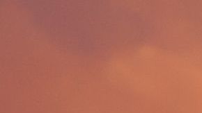 shutterstock_556776610