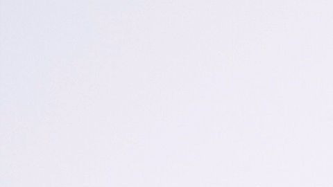 shutterstock_718093321 (1)