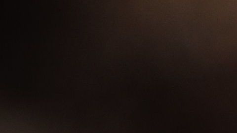 shutterstock_750158362