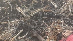 Sicarios del Cártel de los Escorpiones terminaron irreconocibles tras agredir a policías