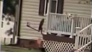 El momento de la captura.