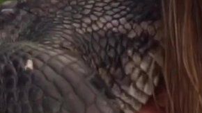 Francia James, de origen colombiano criticada por hacer deporte usando a un caimán.