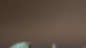 La combinación de estos poderosos ingredientes fortalece el sistema inmunitario y fomenta el buen funcionamiento digestivo.