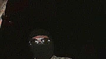 Surge Cártel La Nueva Línea tras la caída de El Carrete