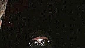 Surge Cártel La Nueva Línea tras la caída de El Carrete