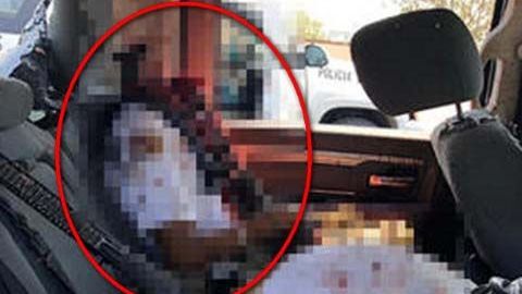 Siete presuntos delincuentes fallecieron durante un tiroteo con las autoridades en Tamaulipas.