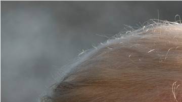 Continúa la batalla campal entre el presidente de Estados Unidos y el gobernador de California.