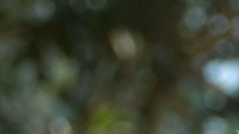 Los hijos de John Catsimatidis incluso donaron a la campaña del presidente Trump.