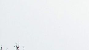 Sede de la Administración de Servicios Generales en Washington DC.