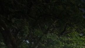 Uncommon Schools Leadership Prep, 141 Macon St