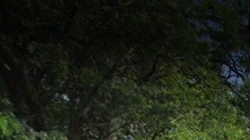 Uncommon Schools Leadership Prep, 141 Macon St