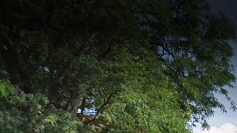 Uncommon Schools Leadership Prep, 141 Macon St