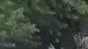 Los empleados fueron evacuados.