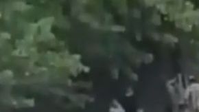 Los empleados fueron evacuados.