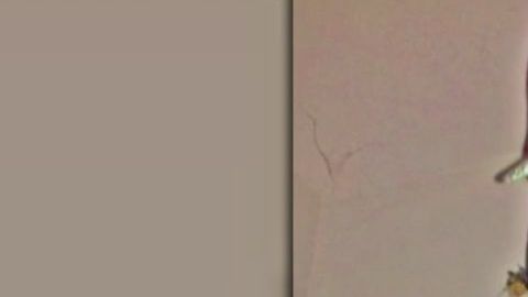 Jahahd Payne tenía 23 años