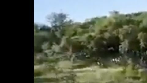 VIDEO Brazo armado del Cártel de Sinaloa anuncia que va a la guerra a bordo de poderosas trocas