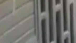 VIDEO: Con tiro de gracia matan a uno en mercado donde opera brazo armado del CJNG