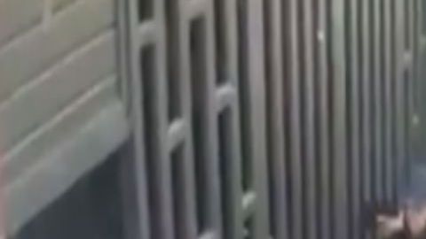 VIDEO: Con tiro de gracia matan a uno en mercado donde opera brazo armado del CJNG