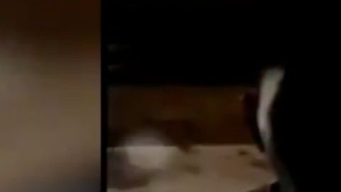 VIDEO: Sicarios del narco hacen lo que nunca habían hecho con este joven que interrogan