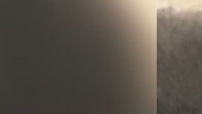 Todavía hay una demanda contra USA Diving por no hacer lo suficiente para frenar a violador