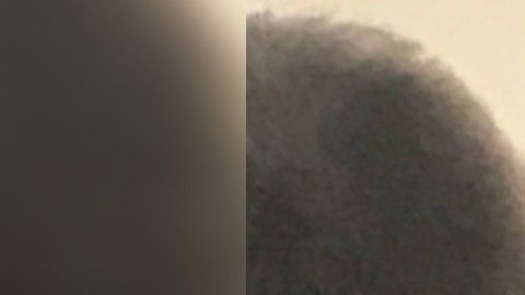 Todavía hay una demanda contra USA Diving por no hacer lo suficiente para frenar a violador