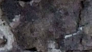 Photo © 2019 Backgrid UK/The Grosby Group.