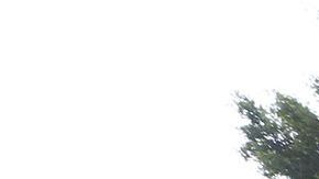 Una desamparada remueve sus cosas de la calle que van a limpiar en Los Ángeles.