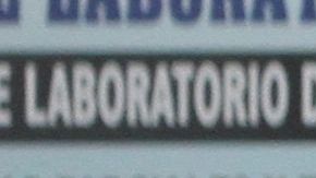 Queens (NYC) es el condado más internacional de EEUU