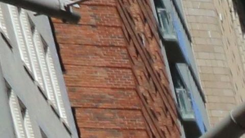 Marcha de Cambio Climático en Manhattan.