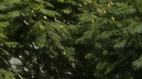 Manifestantesprotestan por las muertes de inmigrantes detenidos por ICE.