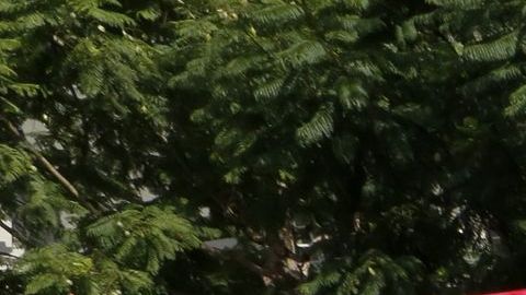 Manifestantesprotestan por las muertes de inmigrantes detenidos por ICE.