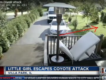 Una niña en Illinois tuvo la suerte de escapar de un ataque de coyote en su  patio.