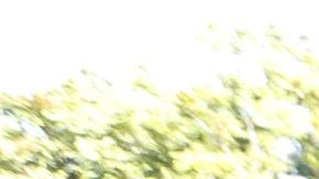 Los trabajadores móviles celebran la victoria/ Aurelia Ventura