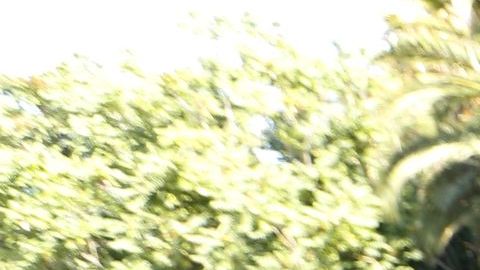 Los trabajadores móviles celebran la victoria/ Aurelia Ventura