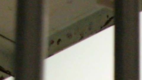 El Servicio de Inmigración y Aduanas ha avalado la utilización de cárceles privadas para inmigrantes.