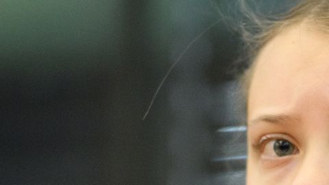 Greta Thunberg inició el movimiento en defensa del medio ambiente.