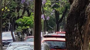 108538930_6389f113-fc7d-4654-a195-a4f85a2cf361