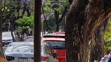 108538930_6389f113-fc7d-4654-a195-a4f85a2cf361