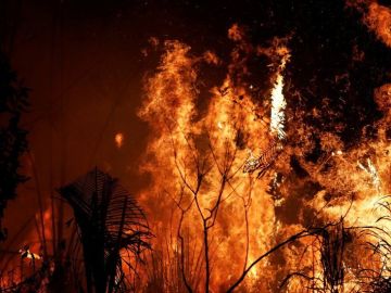 Los incendios en la Amazonía de estas últimas semanas captaron la atención del mundo entero.